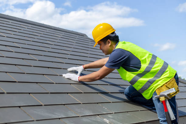 Best Roof Gutter Cleaning  in Desoto, TX