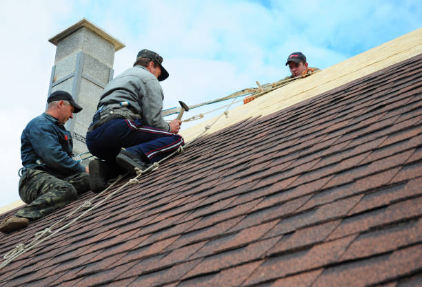 Best Gutter Installation and Roofing  in Desoto, TX